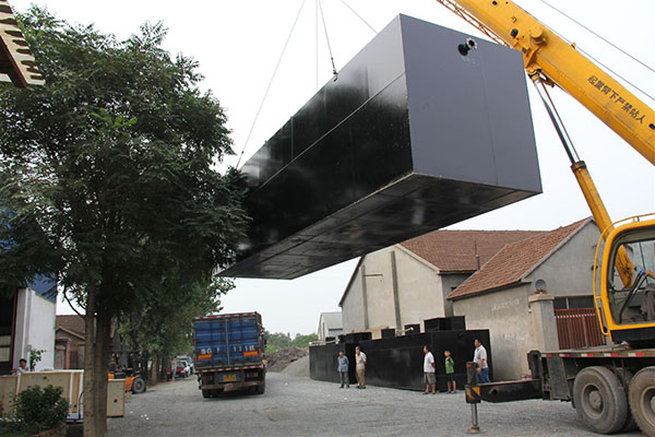 工厂污泥处理设备现场案例